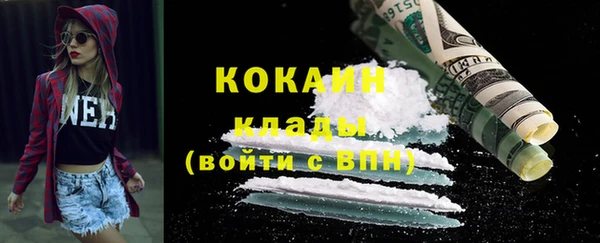 СК Ельня