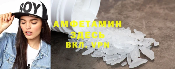гашик Дмитров