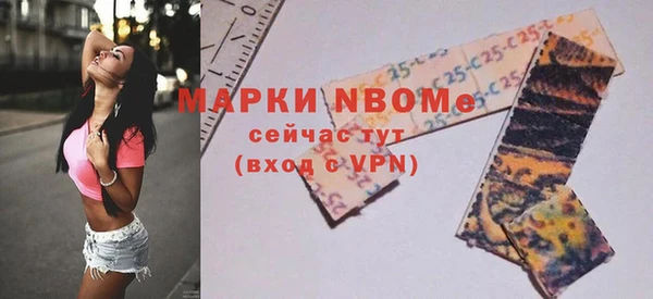 СК Ельня