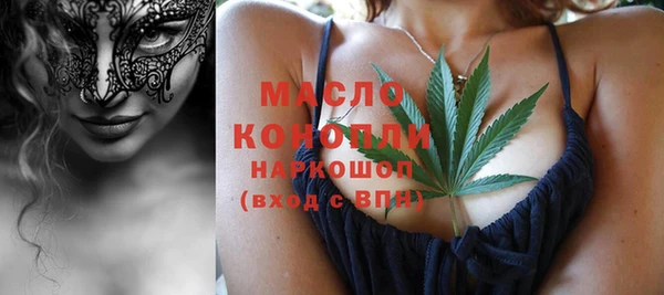 СК Ельня