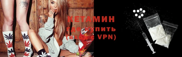 СК Ельня