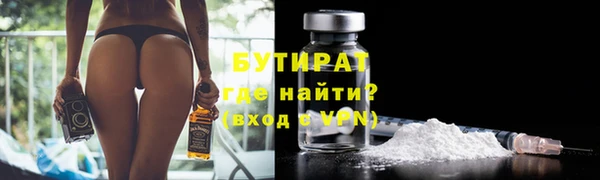 СК Ельня
