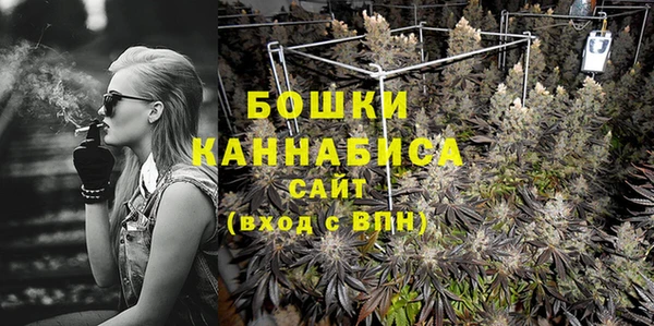 СК Ельня