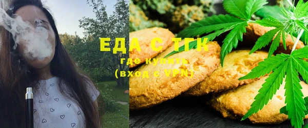 СК Ельня