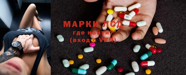 СК Ельня