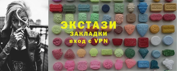 СК Ельня